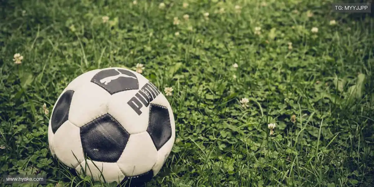 激情永不落幕！⚽ 即刻加入，与千万球迷共享狂欢时刻！